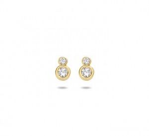 14 karaat goud / zirkonia