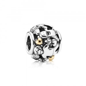 925 sterling zilver en 14 karaats goud