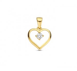 14 karaat goud / zirkonia