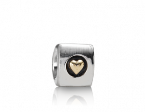 zilver met 14 karaats goud